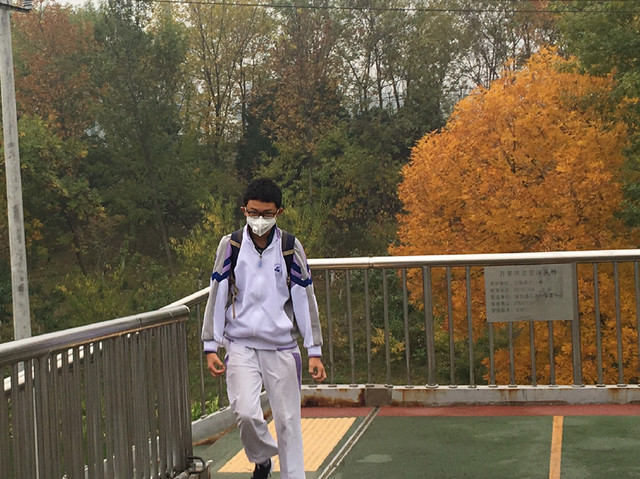 1509090578104270.jpeg 111.JPEG