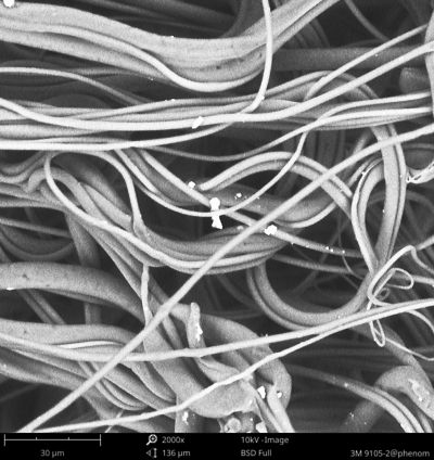 1484199920568664.jpg 4437e62e7d9a19e0bfd106.jpg