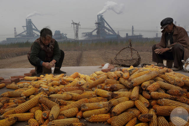 1482111462984308.jpg 5.jpg