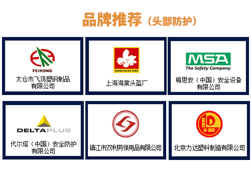 1520910393685238.jpg 头部防护.jpg