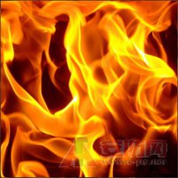 1500606823924279.jpg 16-140GG20IM16.jpg