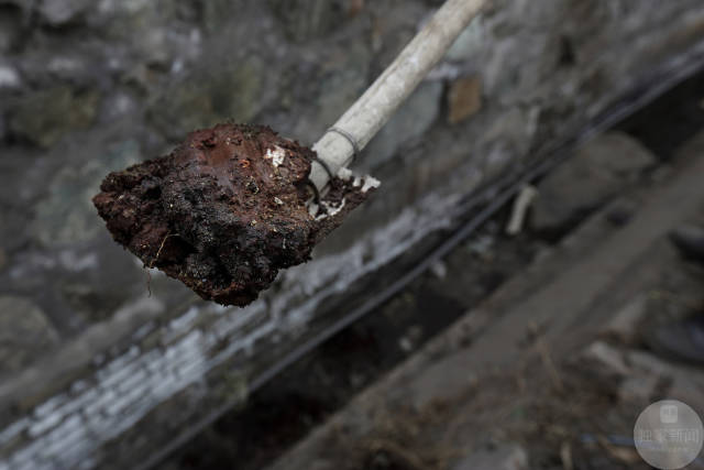 1482111633309871.jpg 9.jpg